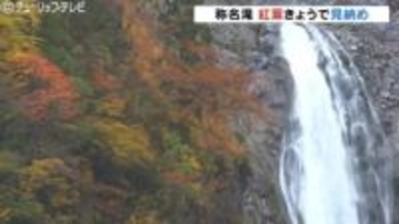 落差日本一の称名滝 “さわやか” な水しぶき、紅葉と白滝のコントラストも…今シーズンきょうで見納め　富山・立山町