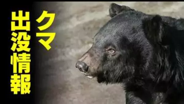 称名滝の駐車場付近で86歳男性がクマに襲われ負傷 付近に避難呼びかけ 称名道路も一部通行止めに 富山・立山町
