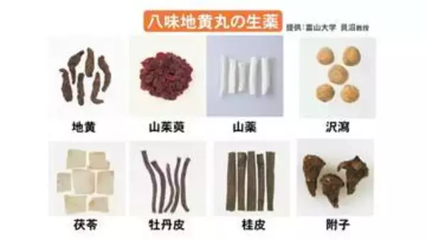 “認知機能の悪化を抑制する可能性” 漢方薬「八味地黄丸」の臨床研究へ 富山大と飛騨市がふるさと納税で資金募り、大規模検証