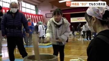 特産のきびを使った鮮やかな黄色のもちも登場！“年忘れジャンボもちつき大会” 富山・黒部市宇奈月町