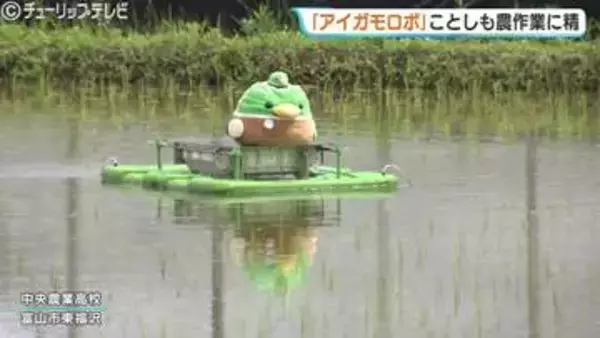 水田を自在にスイスイ　「アイガモロボ」ことしも農作業に精　富山県の高校で「ドジョウ米」有機農法