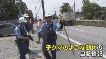富山市郊外の住宅地でクマらしき動物…出没情報相次ぐ　国道8号付近で通勤中の富山市職員が通報　猟友会の現地調査では痕跡なし　富山市は厳重な注意を呼びかけ