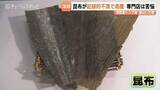「”富山のソウルフード”昆布　記録的不漁で大幅値上げも　「ついに来たか…」専門店が苦悩　昆布〆やおにぎりでお馴染み　富山」の画像1