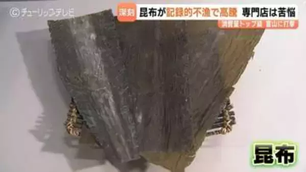 ”富山のソウルフード”昆布　記録的不漁で大幅値上げも　「ついに来たか…」専門店が苦悩　昆布〆やおにぎりでお馴染み　富山