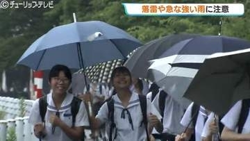 雨の１日 梅雨らしくじめじめでも６月上旬並みの過ごしやすい気温 夕方まで雷雨に注意 富山