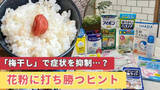 「“梅” や “青魚” が症状を抑制…？ 20年で倍増する「花粉症患者」 例年の1.4倍の飛散量にどう備える？医師や薬剤師がすすめる対策法は」の画像1