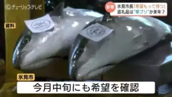 ふるさと納税の先行予約を打ち切り　富山湾の冬の味覚「ひみ寒ぶり」不漁が長引き　ブランド外の寒ブリや来季分への振替などの対応を検討　富山・氷見市