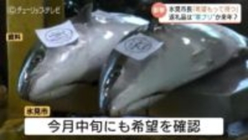 ふるさと納税の先行予約を打ち切り　富山湾の冬の味覚「ひみ寒ぶり」不漁が長引き　ブランド外の寒ブリや来季分への振替などの対応を検討　富山・氷見市