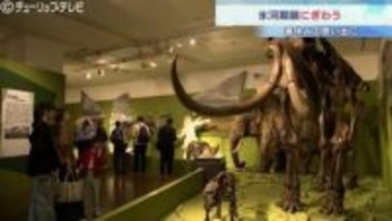 「いろんな動物いて面白い」春休みで「氷河期展」にぎわう　富山