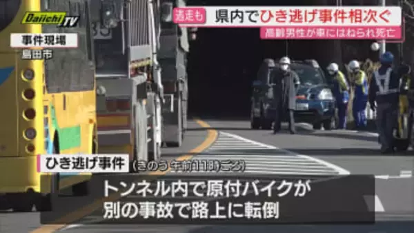 【ひき逃げ相次ぐ】島田市でバイクの男性はね死亡させ逃走した疑い87歳男逮捕…浜松市では横断歩道で高齢女性に重傷負わせ車逃走も運転の66歳男逮捕(静岡)