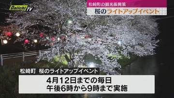 【桜スポット】松崎町の春の観光振興策として桜のライトアップイベント開催…地元企業が照明設備寄贈で協力(静岡)