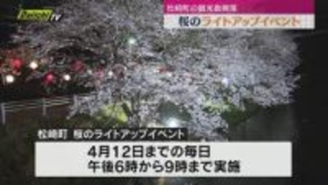 【桜スポット】松崎町の春の観光振興策として桜のライトアップイベント開催…地元企業が照明設備寄贈で協力(静岡)