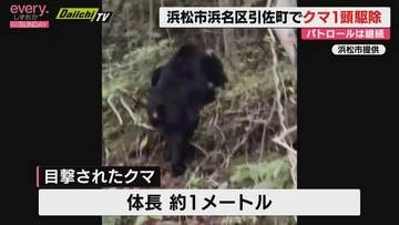 目撃情報相次ぐ浜松・引佐町でクマ1頭を駆除　周辺パトロールは継続の方針（浜松市浜名区）