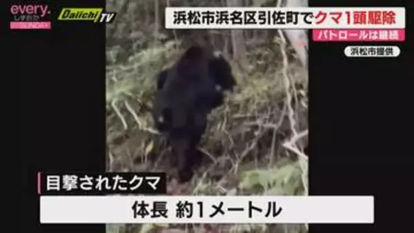 目撃情報相次ぐ浜松・引佐町でクマ1頭を駆除　周辺パトロールは継続の方針（浜松市浜名区）