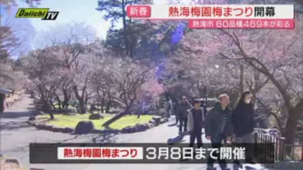 熱海の早春イベント”熱海梅園梅まつり” 開幕　469本の梅のうち36本で見ごろ迎える（静岡・熱海市）