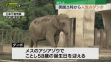 日本平動物園で開園時から人気のアジアゾウ 「ダンボ」の誕生会開かれる（静岡市）