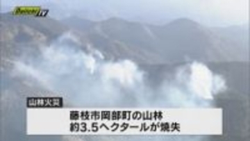 藤枝市の山林火災 一夜明けても延焼中 ヘリ散水等で消火活動続く（静岡・藤枝市）