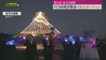 田子の浦港に光るバラが彩るイルミネーション点灯（静岡・富士市）