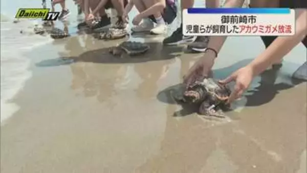 御前崎市で地元の児童らが飼育してきたアカウミガメを5日放流 子ガメたちが大海原へ旅立つ（静岡）