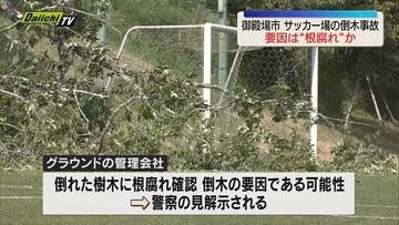サッカー場の倒木事故　グラウンド管理会社が事故の原因などホームページで発表（静岡・御殿場市）