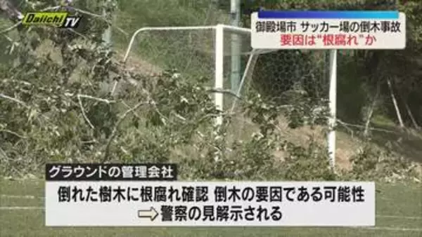 サッカー場の倒木事故　グラウンド管理会社が事故の原因などホームページで発表（静岡・御殿場市）