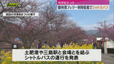 「県は河津桜まつりで駿河湾フェリーの利用促進のためシャトルバス運行発表（静岡）」の画像1