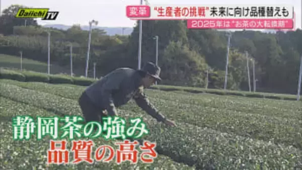 お茶生産量日本一の座を奪われた静岡県　静岡茶が直面する現実と今後への生き残り策は