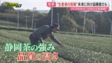 お茶生産量日本一の座を奪われた静岡県　静岡茶が直面する現実と今後への生き残り策は