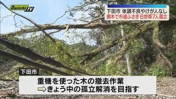 下田市北湯ケ野地区で倒木 市道ふさぎ6世帯7人が孤立状態 市が復旧作業行い22日中の解消目指す（静岡）