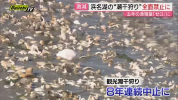 浜名湖でアサリ全面禁漁に 浜名湖名物の資源回復へ漁協も対策に乗り出す（静岡・浜松市）