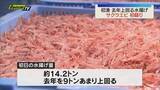 「駿河湾のサクラエビ春漁 初競り行われる　漁獲量は去年を９トンあまり上回る（静岡）」の画像1
