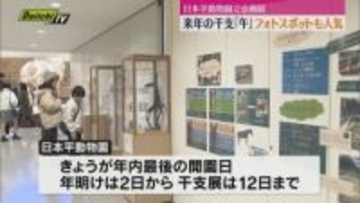 「育児がウマくいくように…ウマだけに」日本平動物園で来年の干支「午」の企画展…フォトスポットは大人気