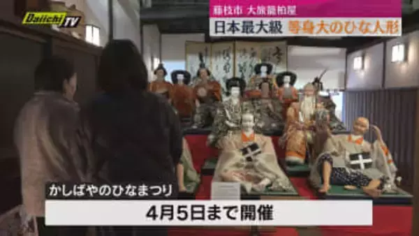 日本最大級　等身大のひな人形を展示　藤枝市の岡部宿大旅籠 柏屋の「ひなまつり」（静岡・藤枝市）