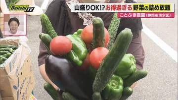 【お得に楽しく】物価高ストレス発散！並んでもやりたい“野菜の詰め放題”人気の秘密に迫る（静岡）
