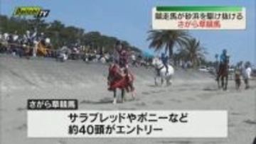 砂浜を駆け抜ける「さがら草競馬」 竜巻災害からの復興願い 北海道から「ばん馬」も（静岡・牧之原市）