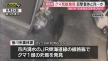 クマ目撃情報があった掛川市内の東海道線 線路脇で同一個体とみられるクマの死骸見つかる…電車と接触したか(静岡）