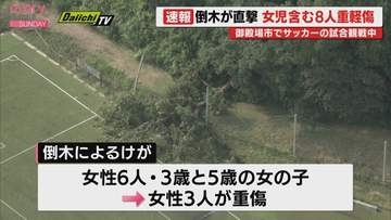 倒木がサッカー観戦者たちに…女児２人含む８人重軽傷（静岡・御殿場市）