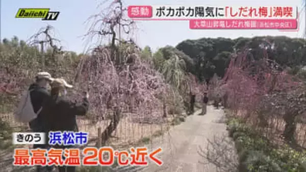 【春めく】月変わりの週末は暖かな陽気となった県内…賑わう行楽地やイベント会場は薄着で楽しむ人も(静岡)