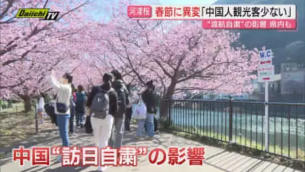 消えた「爆買い」と中国人観光客　河津桜は満開も訪日自粛で様変わり、一方で国内予約は殺到（静岡）