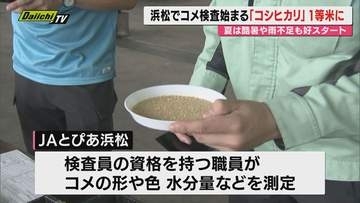 【新米】コメ収穫最盛期前に品質検査…今季厳しい気候も当日持ち込み分はいずれも｢一等米｣評価（浜松市）