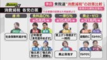 【衆院選】注目争点のひとつ｢消費減税｣巡り与野党各々主張掲げる中…有権者の投票判断ポイントは？(静岡)