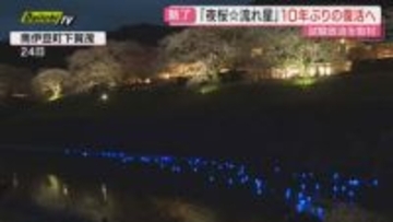 【夜桜☆流れ星】桜並木ライトアップの青野川に“青い光の玉”放流…町制70周年で10年ぶり開催(静岡･南伊豆町)