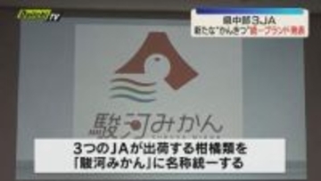 静岡県中部地区３ＪＡが共同で柑橘選果場再編の再編の締結調印式 新たな柑橘類の統一ブランド名「駿河みかん」を発表（静岡）