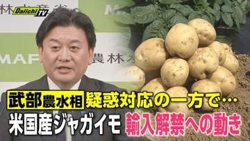 米国産ジャガイモ輸入解禁は？病害虫リスクと価格競争に揺れる県内産地の不安と食卓への影響（静岡）