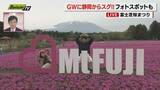 「【中継】山梨・富士河口湖町 ”富士芝桜まつり”会場から花の開花状況やＧＷのにぎわいをお伝え（静岡）」の画像1