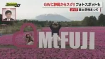 【中継】山梨・富士河口湖町 ”富士芝桜まつり”会場から花の開花状況やＧＷのにぎわいをお伝え（静岡）