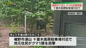 【クマ目撃情報】裾野市須山・十里木高原駐車場付近でクマ１頭目撃　越前岳方面に登っていったとの情報（静岡）