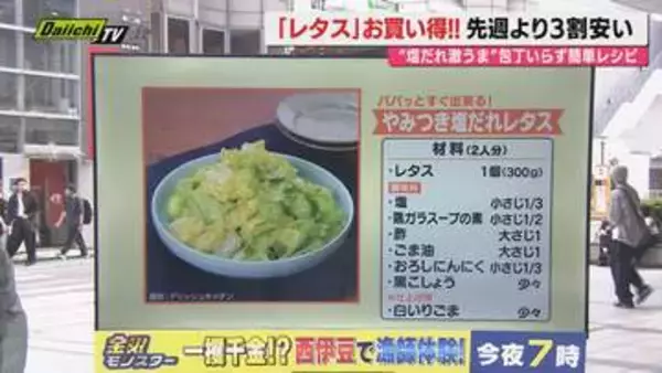 【献立予報】旬＆お得な食材と簡単レシピを紹介するコーナー！夕飯献立の参考に…今回は｢レタス｣(静岡)