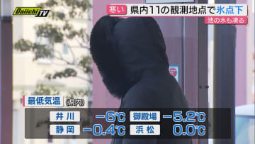 氷点下の厳しい寒さの一方で春の便りも 伊豆・河津桜が開花、浜名湖では旬のカキに舌鼓（静岡）