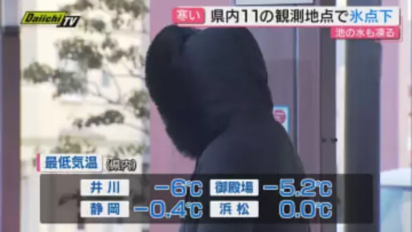 氷点下の厳しい寒さの一方で春の便りも 伊豆・河津桜が開花、浜名湖では旬のカキに舌鼓（静岡）